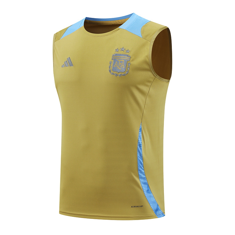 AAA Quality Argentina 24/25 Golden/Blue Vest Jersey